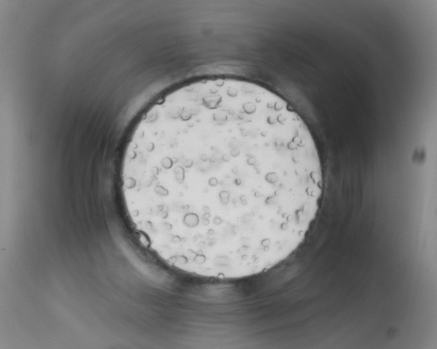 X0000113140108200910161205