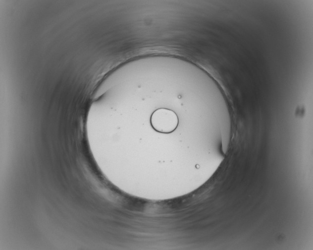 X0000113140109200910161205