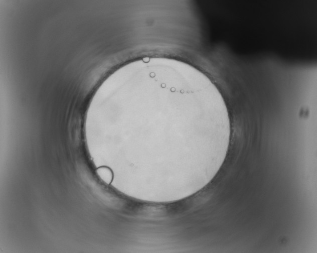 X0000113140110200910161205