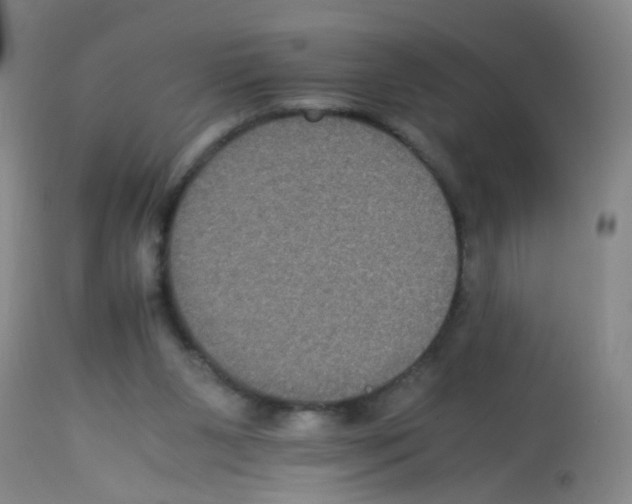 X0000113140111200910161205