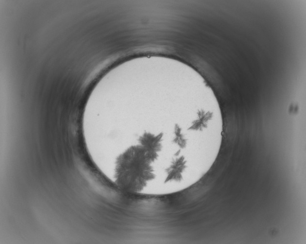 X0000113140112200910161205