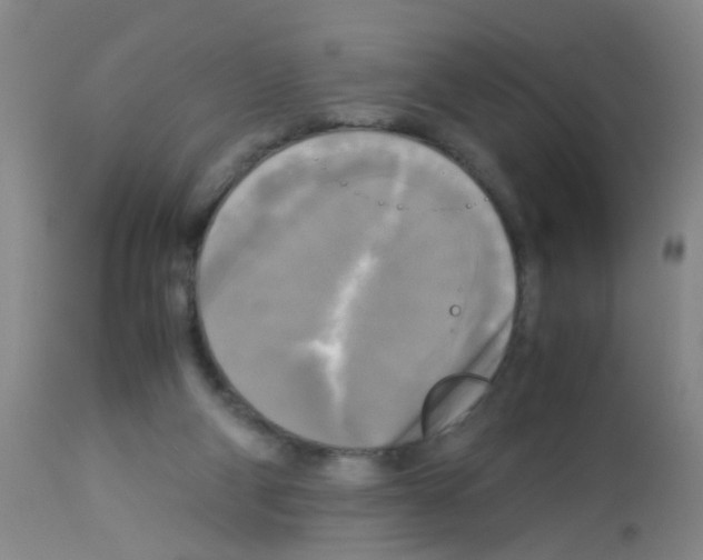 X0000113140114200910161205