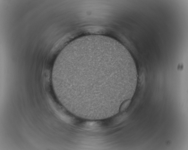 X0000113140117200910161205