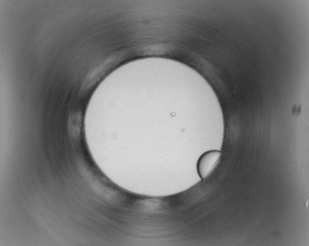 X0000113140118200910161205