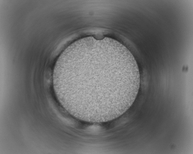 X0000113140119200910161205