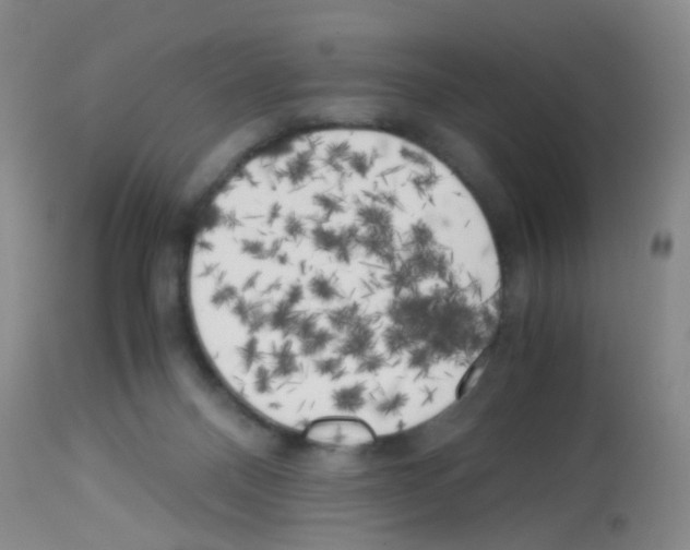 X0000113140120200910161205
