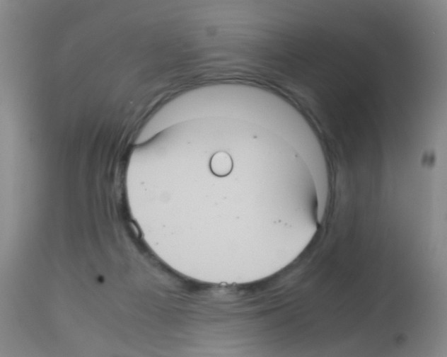 X0000113140121200910161205