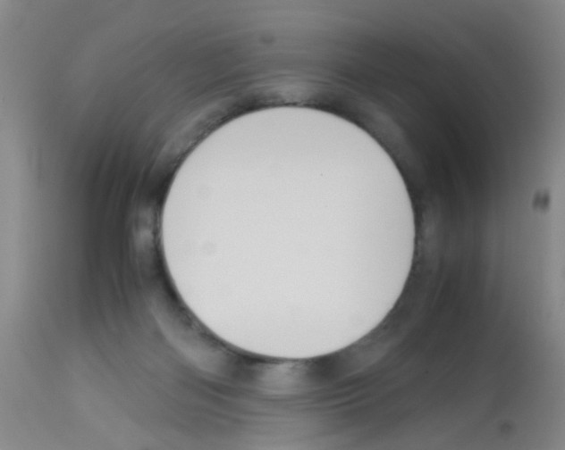 X0000113140122200910161205