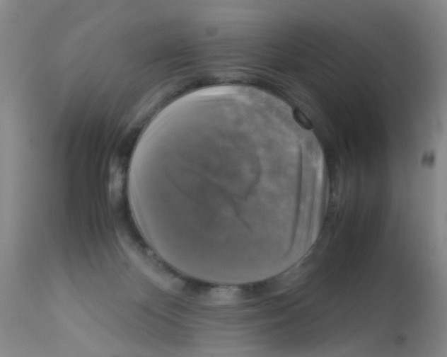 X0000113140124200910161205