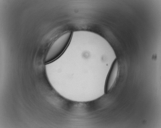 X0000113140125200910161205