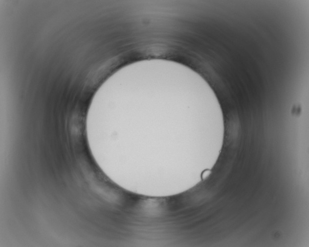 X0000113140126200910161205