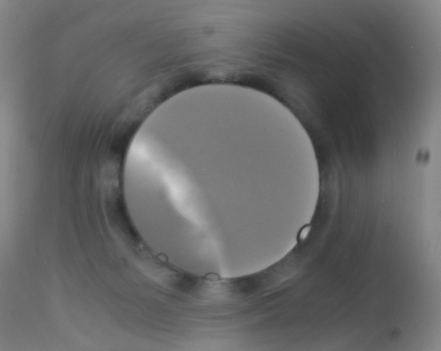X0000113140127200910161205