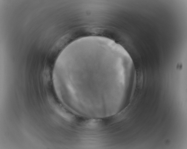 X0000113140128200910161205