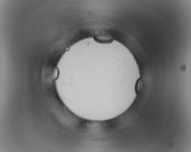 X0000113140129200910161205
