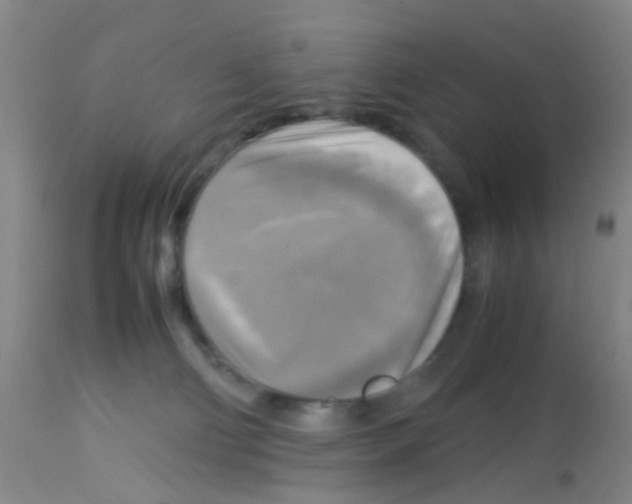 X0000113140130200910161205