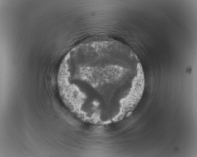 X0000113140131200910161205