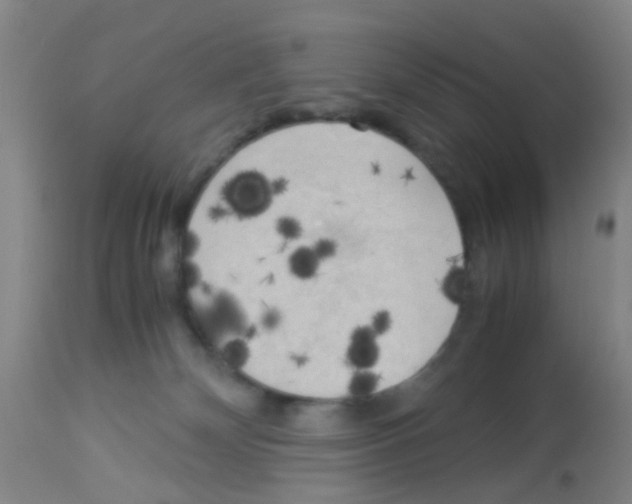 X0000113140132200910161205