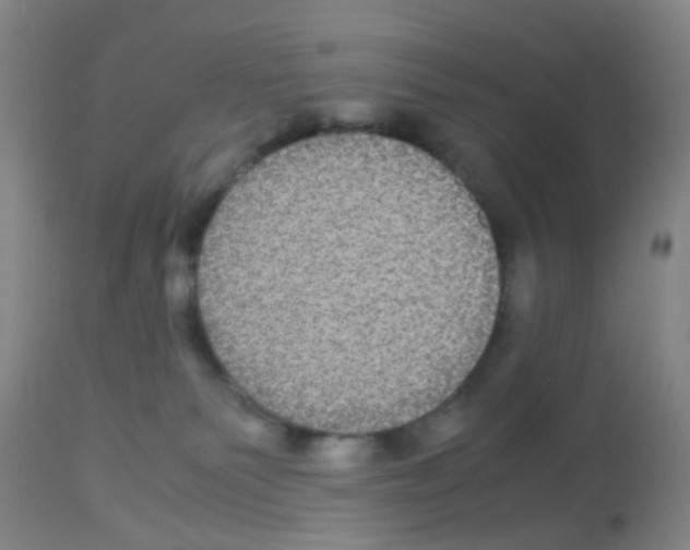 X0000113140135200910161205