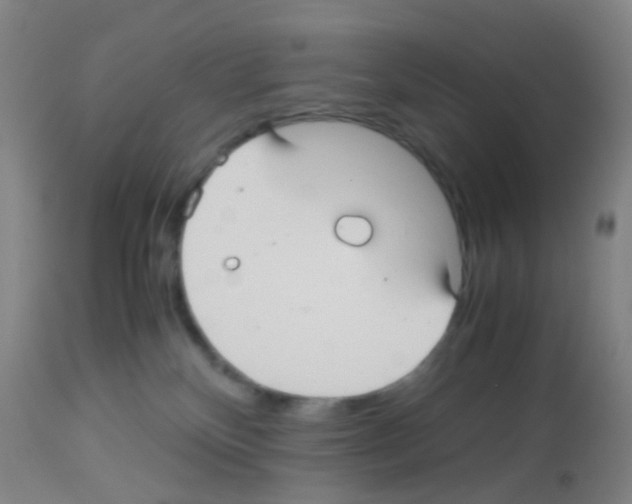 X0000113140136200910161205
