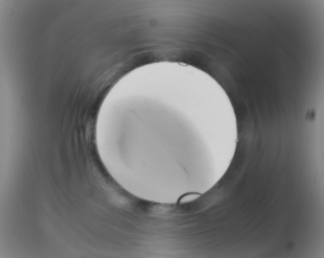 X0000113140139200910161205
