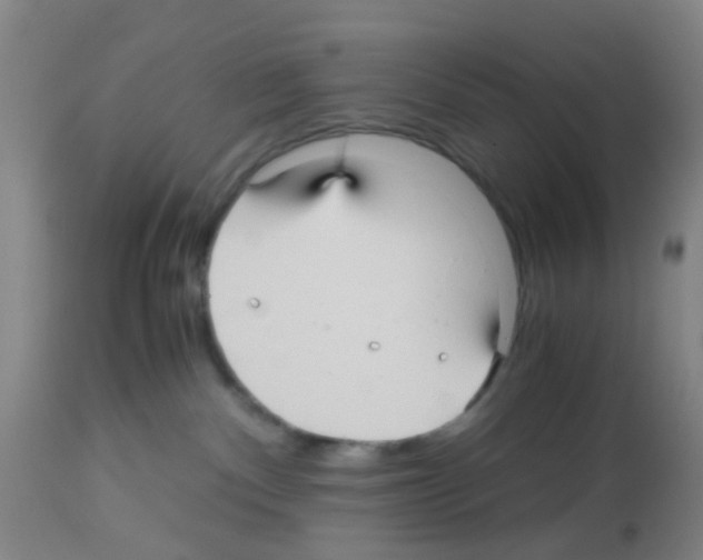X0000113140140200910161205