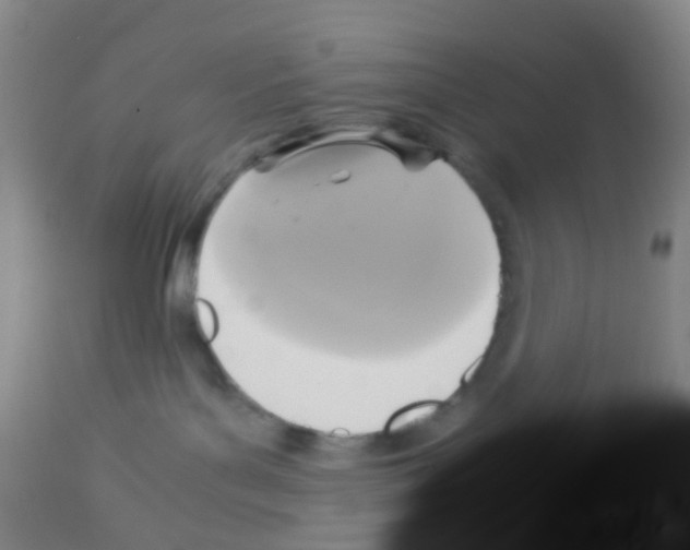 X0000113140143200910161205