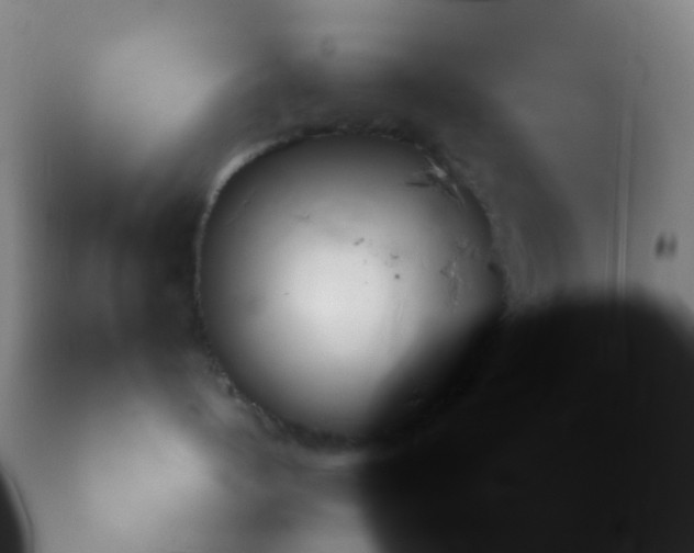 X0000113140144200910161205