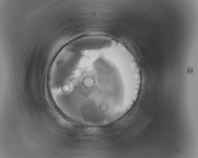 X0000113140145200910161204