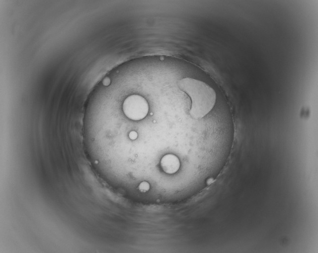 X0000113140146200910161204