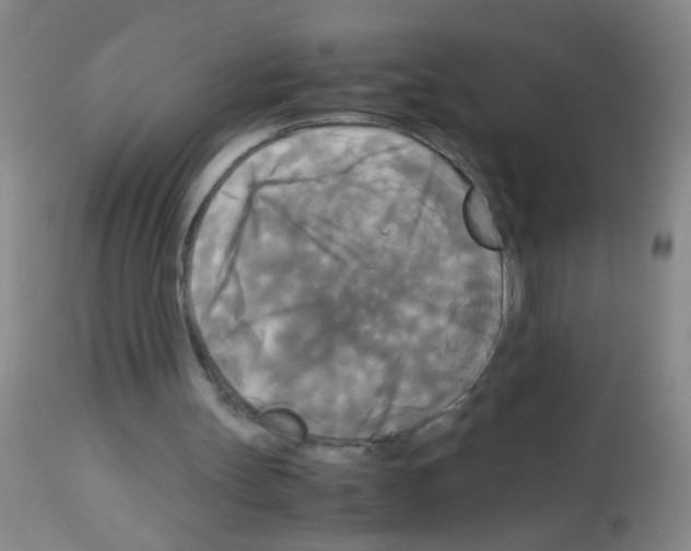 X0000113140147200910161204
