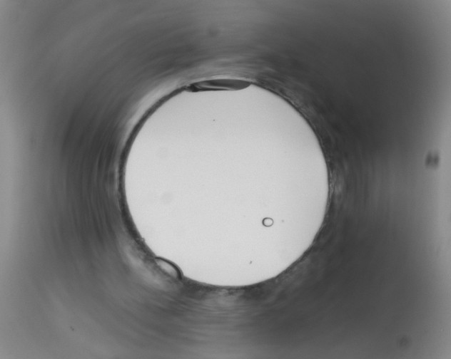 X0000113140148200910161204