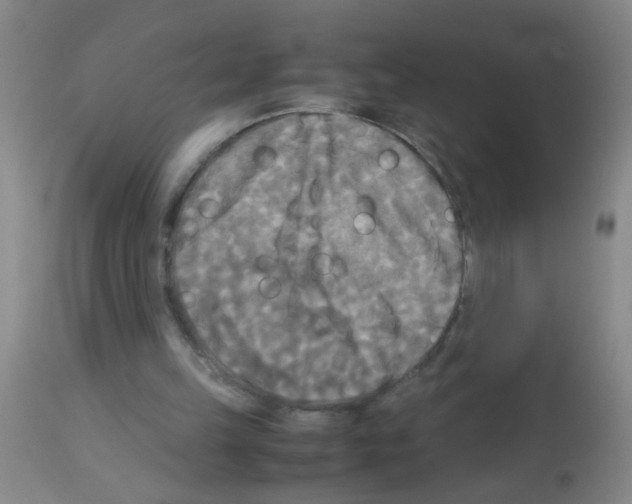 X0000113140149200910161204