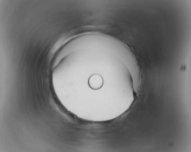 X0000113140150200910161204