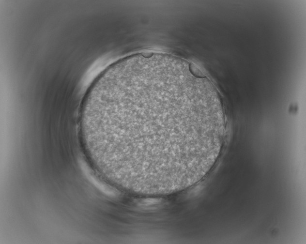 X0000113140151200910161204