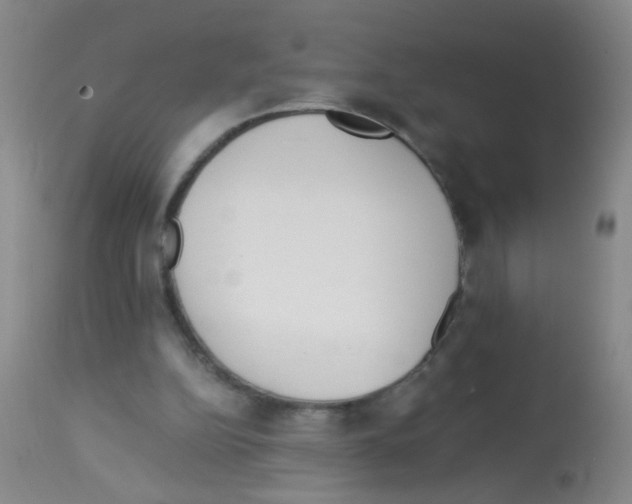 X0000113140152200910161204