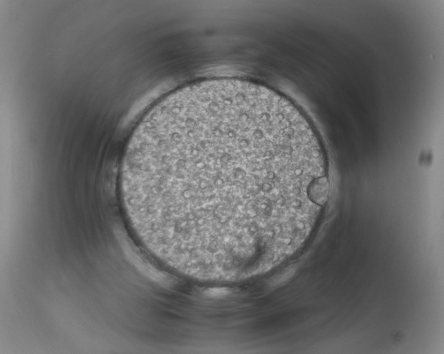X0000113140153200910161204