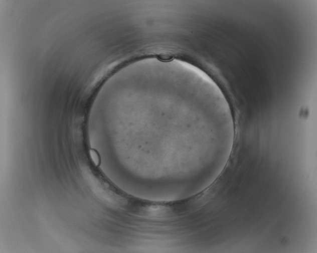X0000113140154200910161204