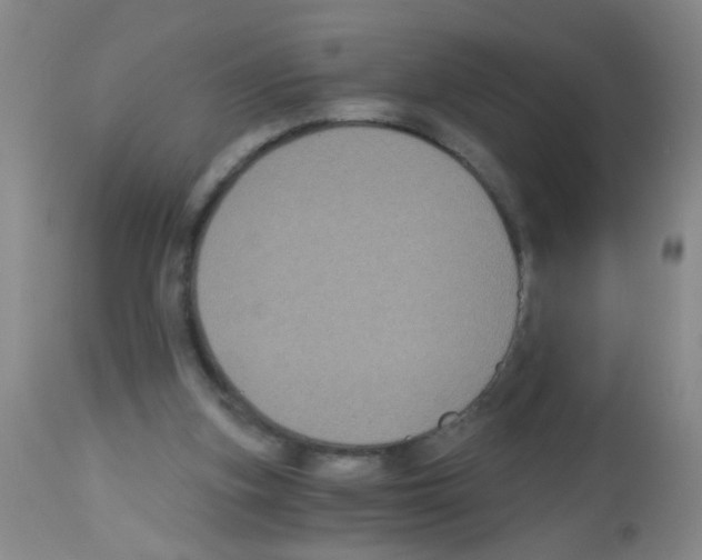 X0000113140155200910161204