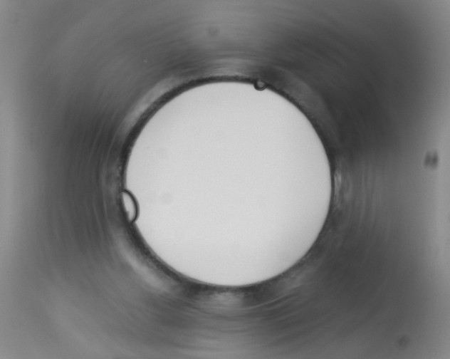 X0000113140156200910161204
