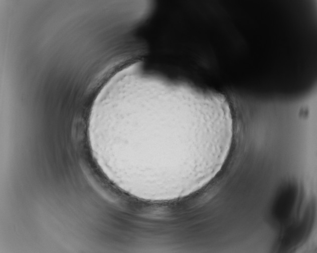 X0000113140157200910161204