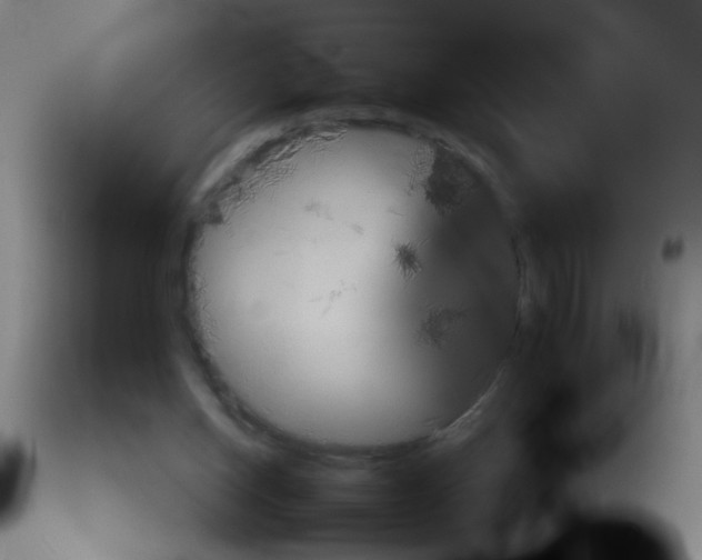 X0000113140158200910161204