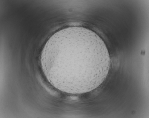 X0000113140159200910161204