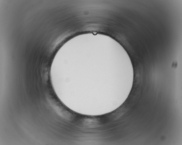 X0000113140160200910161204