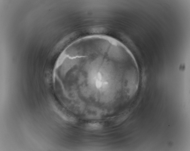 X0000113140161200910161204