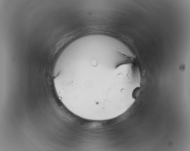 X0000113140162200910161204