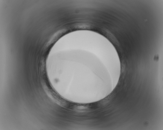 X0000113140163200910161204