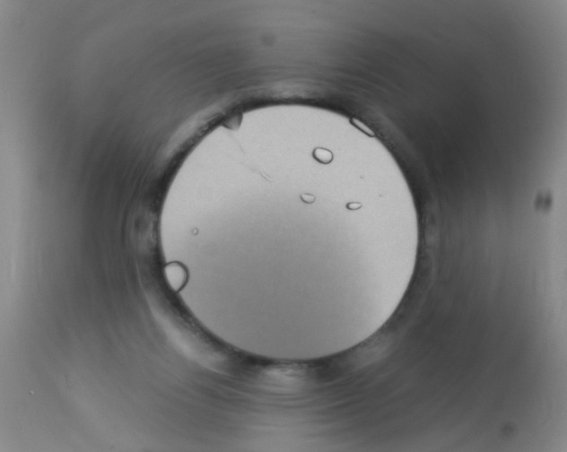 X0000113140164200910161204
