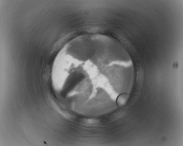 X0000113140165200910161204