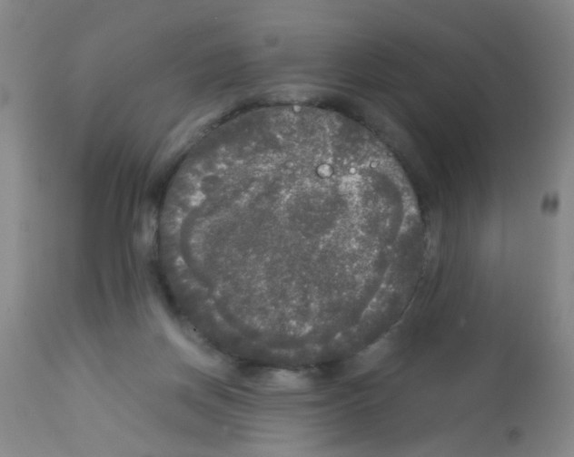 X0000113140166200910161204