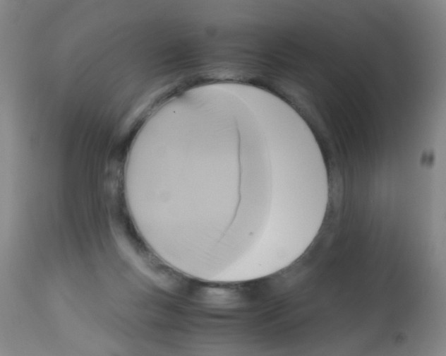X0000113140167200910161204